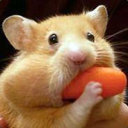 Biz's Stream profile image