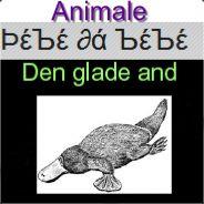 Pebe's Stream profile image