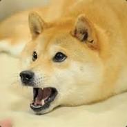 Cody From KFC's Stream profile image