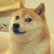 Fatninja92's Stream profile image
