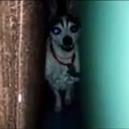 HolaJuanCarlos's Stream profile image