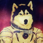 Blink's Stream profile image