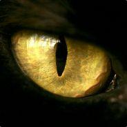 Zarou's Stream profile image