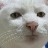 Allican39's Stream profile image