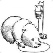 Wombat Warrior's Stream profile image