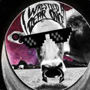 Vaquita Jarcor's Stream profile image