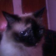 Neleya's Stream profile image