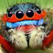 TheSpider's Stream profile image