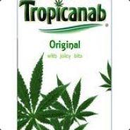 Tropicanab's Stream profile image