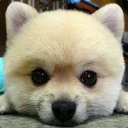 偉特貝爾's Stream profile image