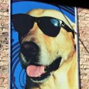 TheDogfromRasingCanes's Stream profile image