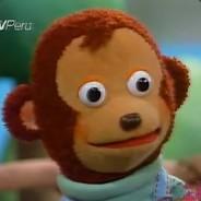PapaBear's - Steam avatar