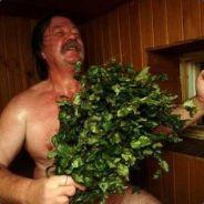 Caius's Stream profile image