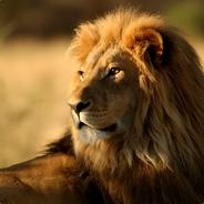 Duff's Stream profile image