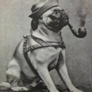 Killingyoda's Stream profile image