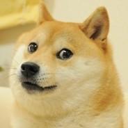 ksionox's Stream profile image