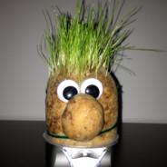 LiKiD's Stream profile image