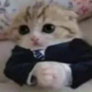 nieokrzesany cykliniarz's - Steam avatar