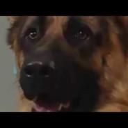 Garip Kont's Stream profile image