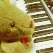 maitan's Stream profile image