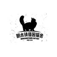 玻璃小子's Stream profile image