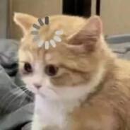 blue_fin_tuna's Stream profile image