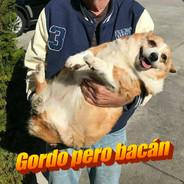 Fabi's Stream profile image