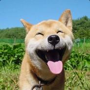 Kev's Stream profile image