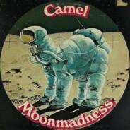 Jasmine Camel's - Steam avatar