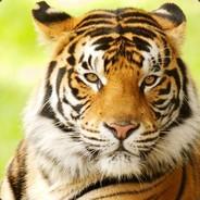PapaJohn's Stream profile image
