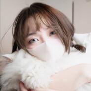 巧虎's Stream profile image