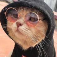 augusto pinochet's Stream profile image