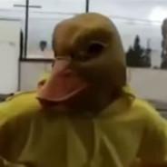 Kwak Kwak's - Steam avatar