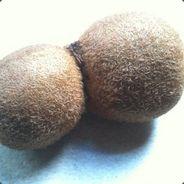 FurryBalls's - Steam avatar