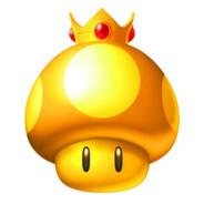 the champin´t's Stream profile image