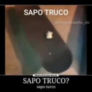 sapotruco's - Steam avatar