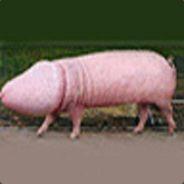 lluischess's Stream profile image