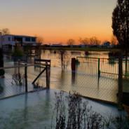 LM.Harald Gestock's - Steam avatar
