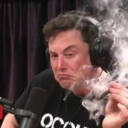 int main() {printf(); return 0;}'s Stream profile image