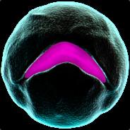 Mvpxx12's Stream profile image