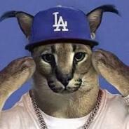 Ryder's Stream profile image