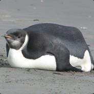 PenguinBlubber's Stream profile image