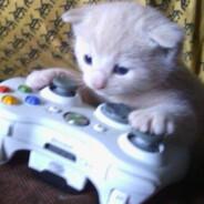 Tobyran el hackeado's Stream profile image