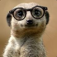 No quiero irme a low Sr. Stark's Stream profile image