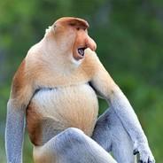 Latte Burkini's Stream profile image