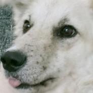WnbHaze//'s Stream profile image