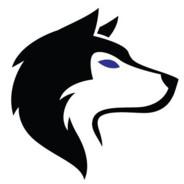 Huskie's Stream profile image