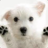 McFortran's - Steam avatar