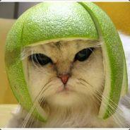 RamBot17's - Steam avatar