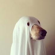 SpookeyDog's Stream profile image